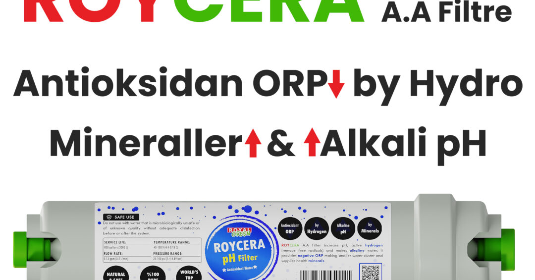 Roycera Alkali Filtre