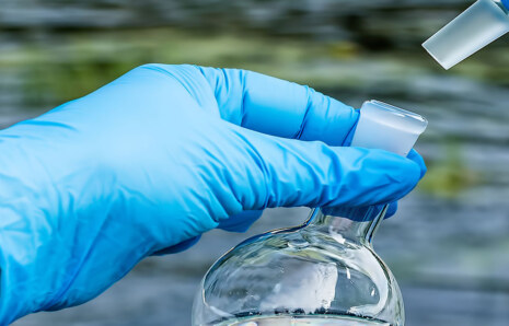 Nsf Sertifikasyonu Nedir?