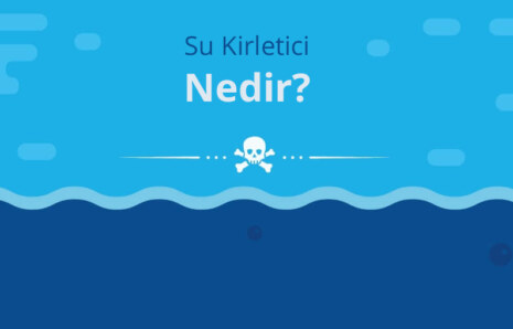 Temiz Su İçtiğinizden Emin Olun