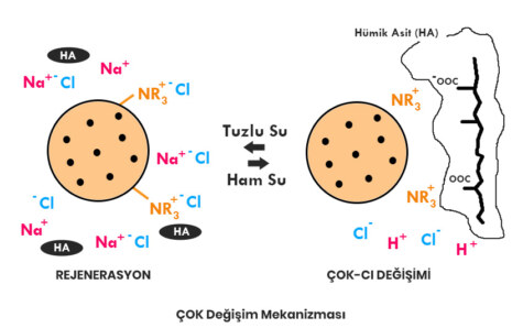 İçme Suyu Arıtımında DOM İyon Değiştirici Reçineler Kullanılarak Giderilmesi