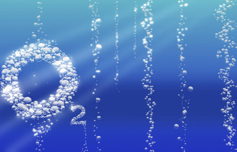 Çözünmüş Oksijen (ÇO)