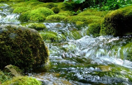 Türkiye’de Su Potansiyeli