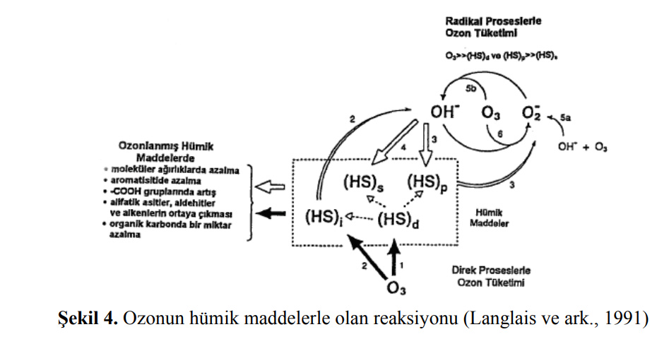 . Ozonun hümik maddelerle olan reaksiyonu (Langlais ve ark., 1991)