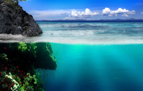 Araştırmalara Göre, Dünyadaki Su Kaynaklarının Her Yıl Yaklaşık % 30-50’si Çalınıyor