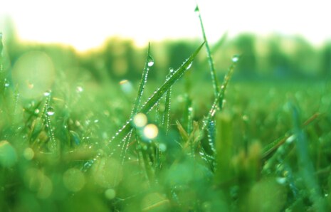 Yeşil Hidrojen (Green H2) Geleceğin Temiz Enerjisi Mi?