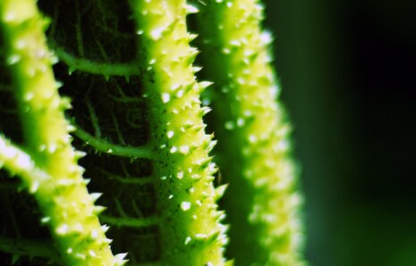 1 Litre Atık Yağ, 1 Milyon Litre Suyu Kirletiyor