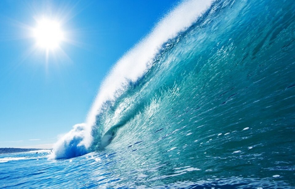 Okyanuslara Plastik Rüzgarlar Esiyor