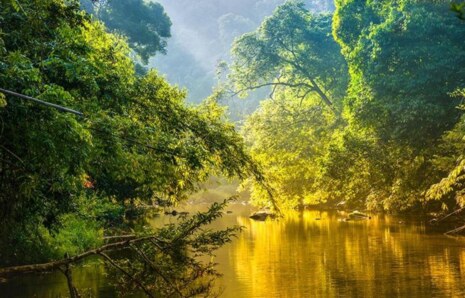 İklim Değişikliği, Dünya’nın Tropikal Yağmur Kuşağının Konumunu Değiştirecek