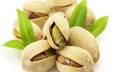 Antep Fıstığı Resimleri