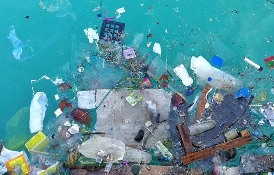 Elmas Tabanlı İşlem Okyanusu Mikroplastiklerden Kurtarmaya Yardımcı Olabilir