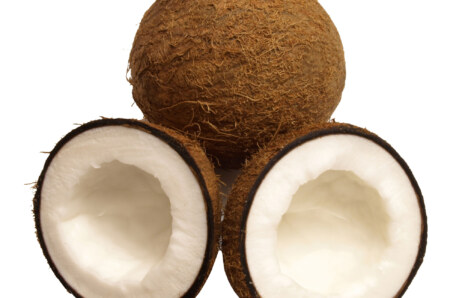 Hindistan Cevizi Resimleri