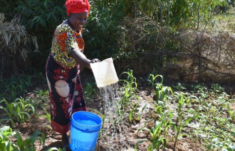 Su ve cinsiyet eşitliği