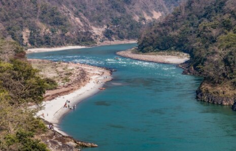 Böcek ilaçlarından Dolayı Thoreau’nun Walden Gölü’nün Başı Belada Bilim Adamlarını Uyarıyor