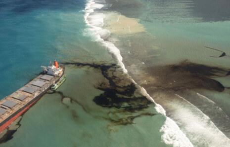 Mauritius Kıyılarını Petrolden Temizlemek İçin Gönüllüler Seferber