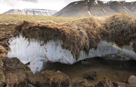 Permafrost nedir?