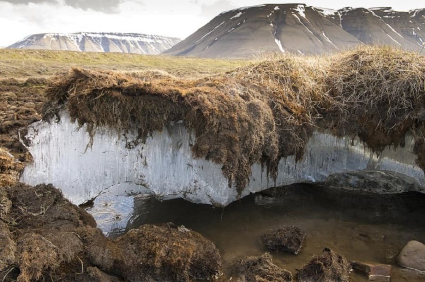 Permafrost nedir?