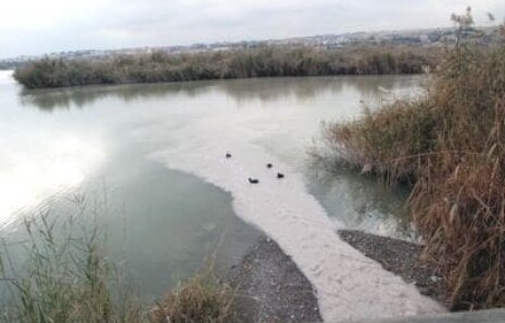 Suda “siyanotoksin” tehlikesi