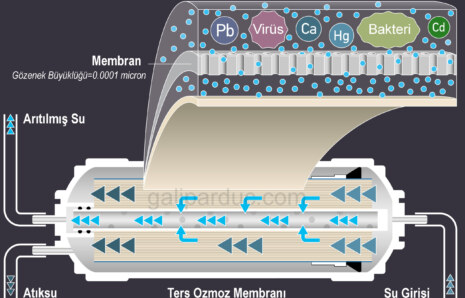 Ters Ozmoz İle Reddedilen İyonlar ve Metaller Tablosu
