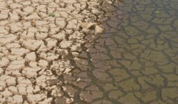 İklim Değişikliğinin Su Kaynaklarına Etkileri