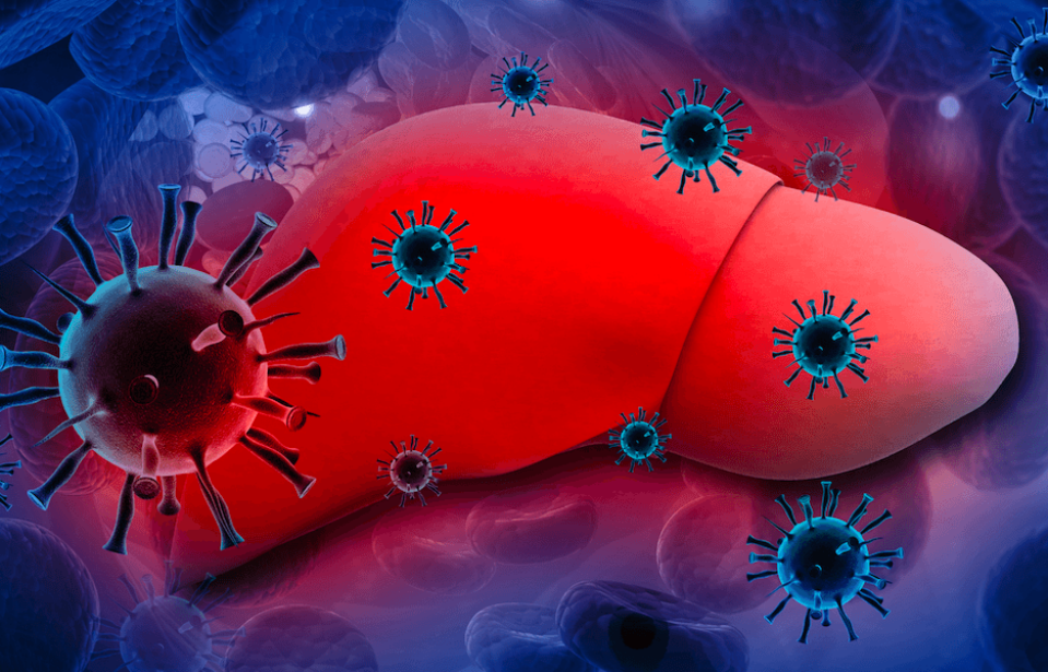Hepatit Virüslerine Karşı Dezenfeksiyon Yöntemleri ve Uygulamalarının Önemi
